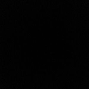 Meet your Posher, Kyra